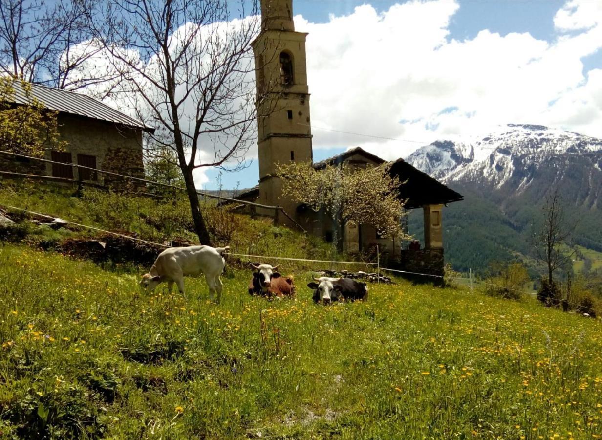 Agri-B&B Lou Col Canosio エクステリア 写真