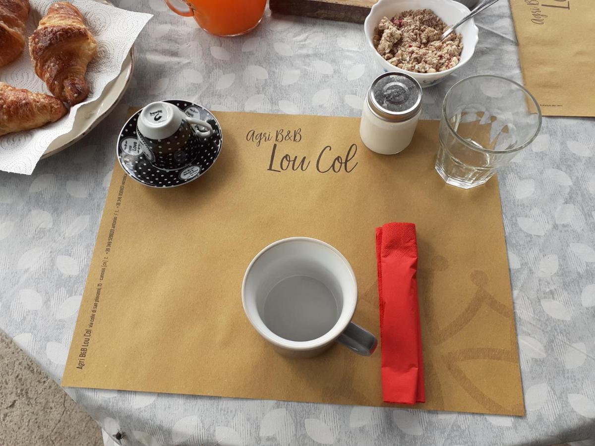 Agri-B&B Lou Col Canosio エクステリア 写真