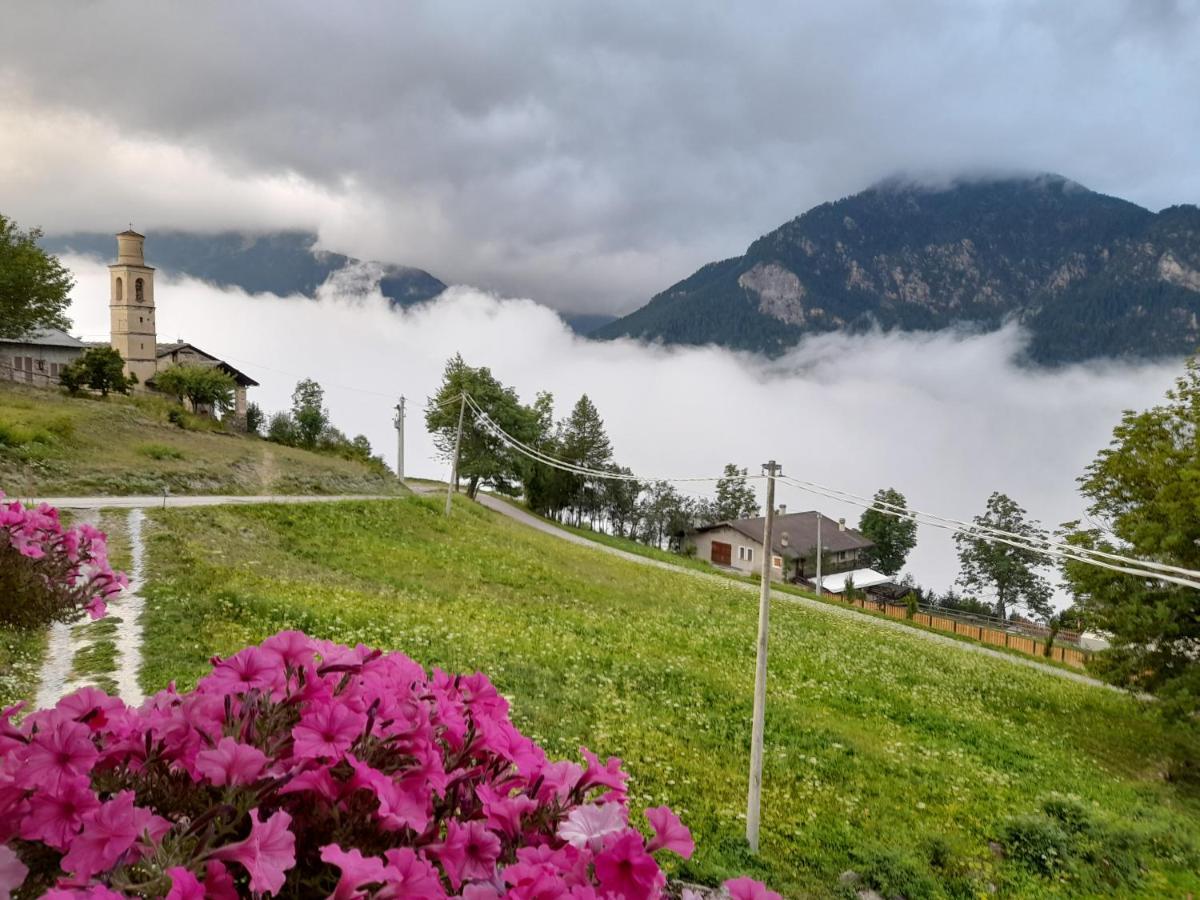 Agri-B&B Lou Col Canosio エクステリア 写真