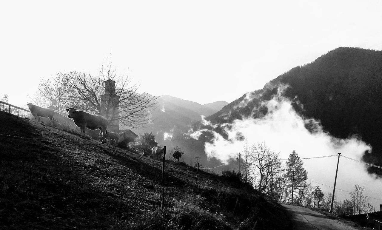 Agri-B&B Lou Col Canosio エクステリア 写真
