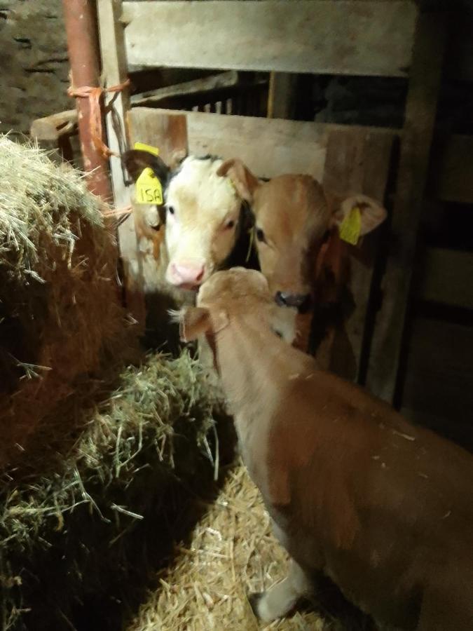 Agri-B&B Lou Col Canosio エクステリア 写真